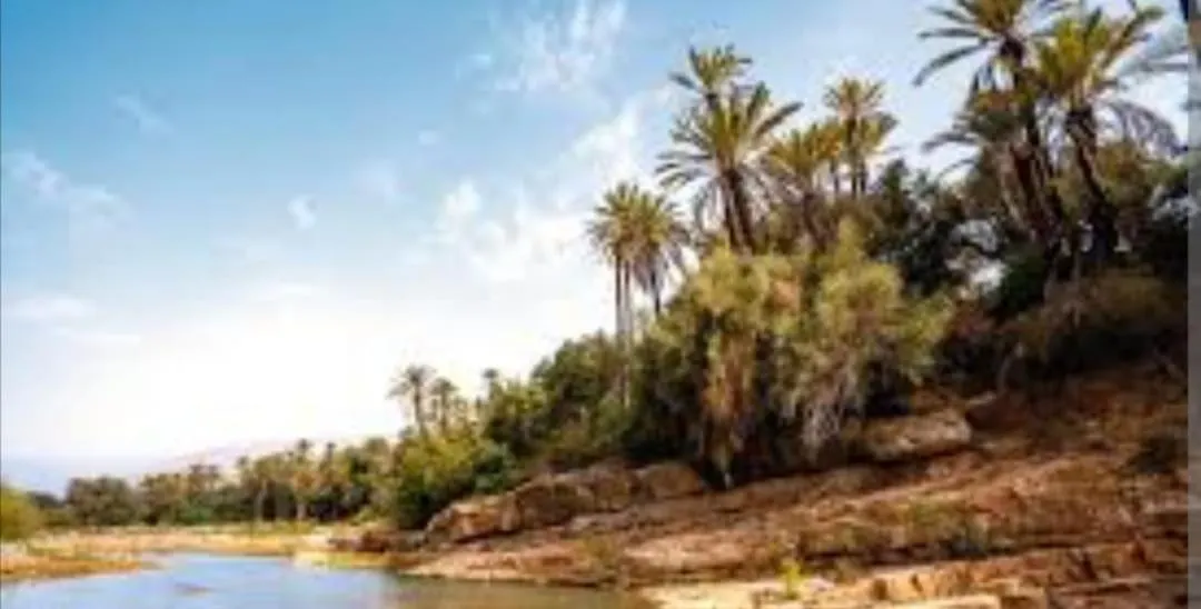 Riad Dar Asalam أغادير