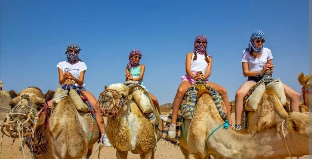 بيت ضيافة Riad Dar Asalam أغادير