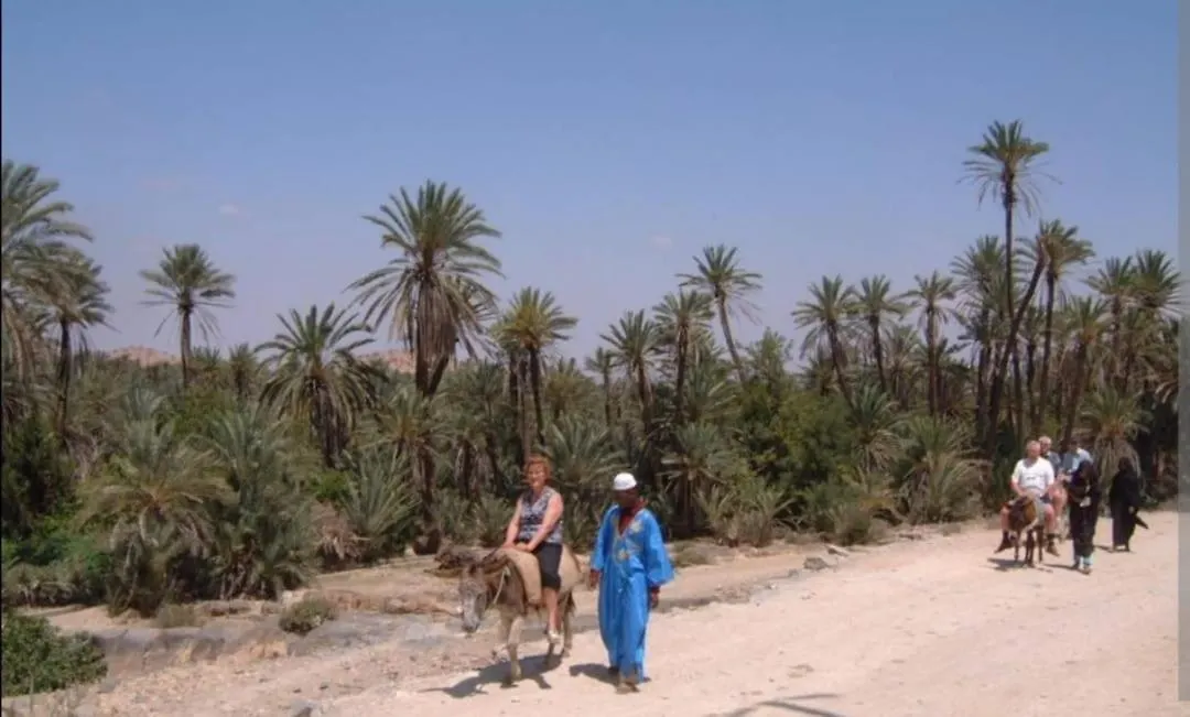 بيت ضيافة Riad Dar Asalam أغادير المغرب