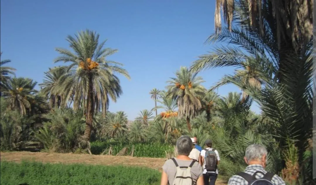 Гостевой дом Riad Dar Asalam Агадир