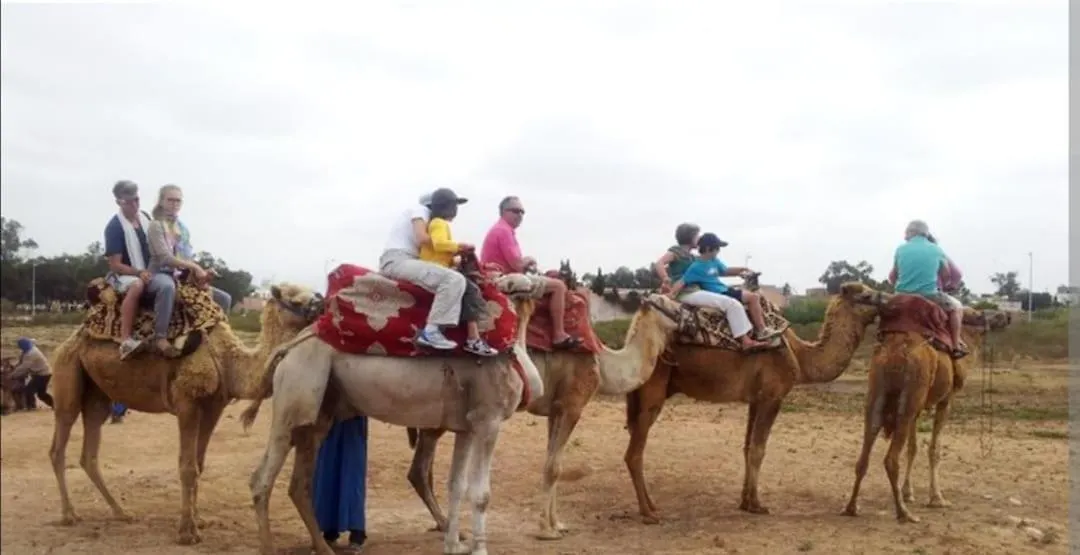 بيت ضيافة Riad Dar Asalam أغادير المغرب